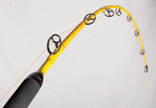Canna Trabucco Zaratan 30-60 lb