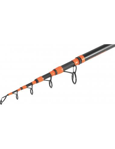 Canna Trabucco Xandria Sun Seeker