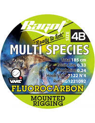 Terminale Ragot Multi Species Rig